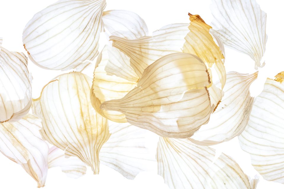 Photograph of Garlic Skins for Turnips Borough Market London
